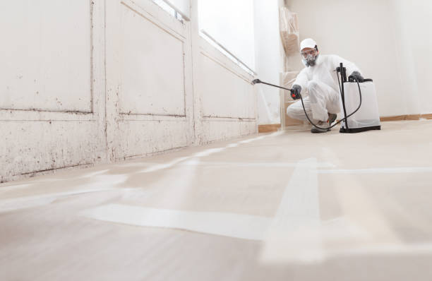 24/7 Emergency Crawl Space Mold Remediation experts in Jackson, KY