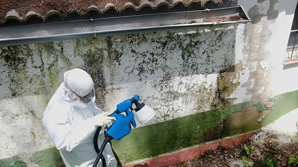 Top rated local Crawl Space Mold Remediation specialists in Jackson, KY